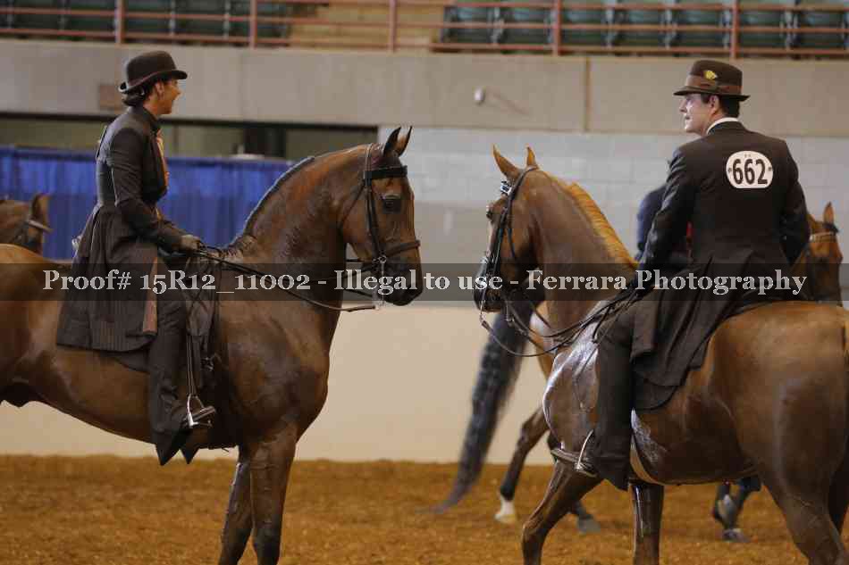 Proof Number 15R12_11002