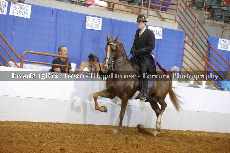 Proof Number 15R12_11020