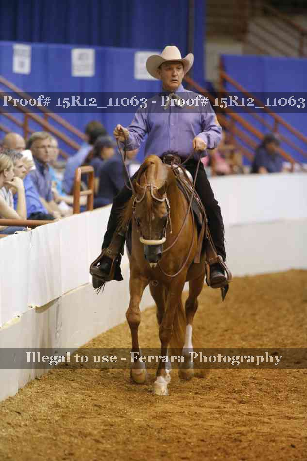 Proof Number 15R12_11063