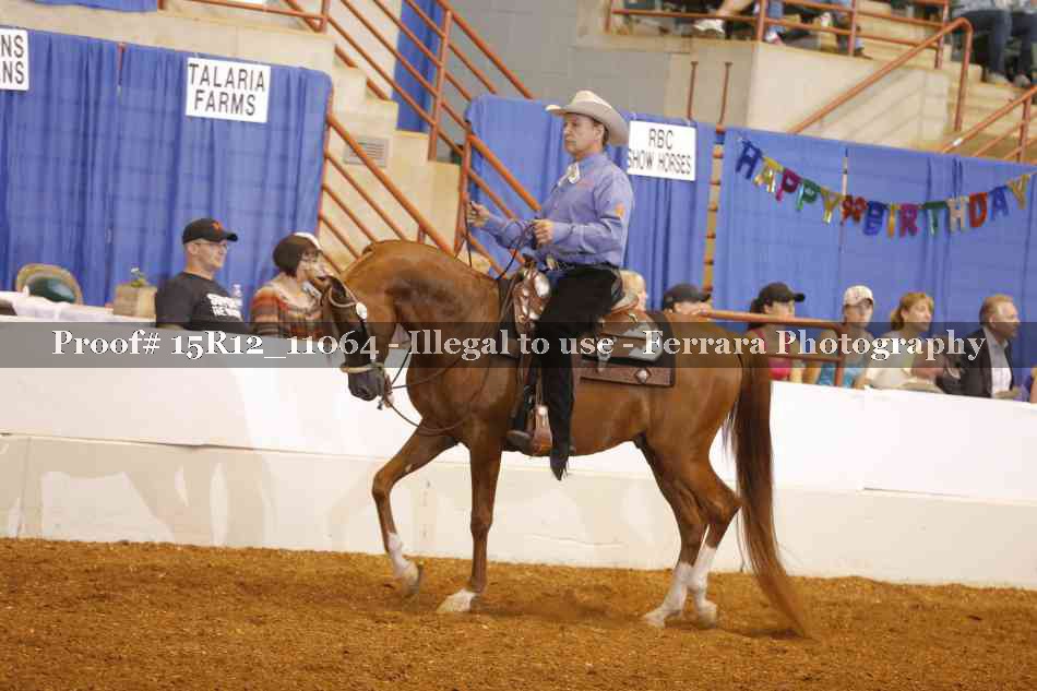 Proof Number 15R12_11064