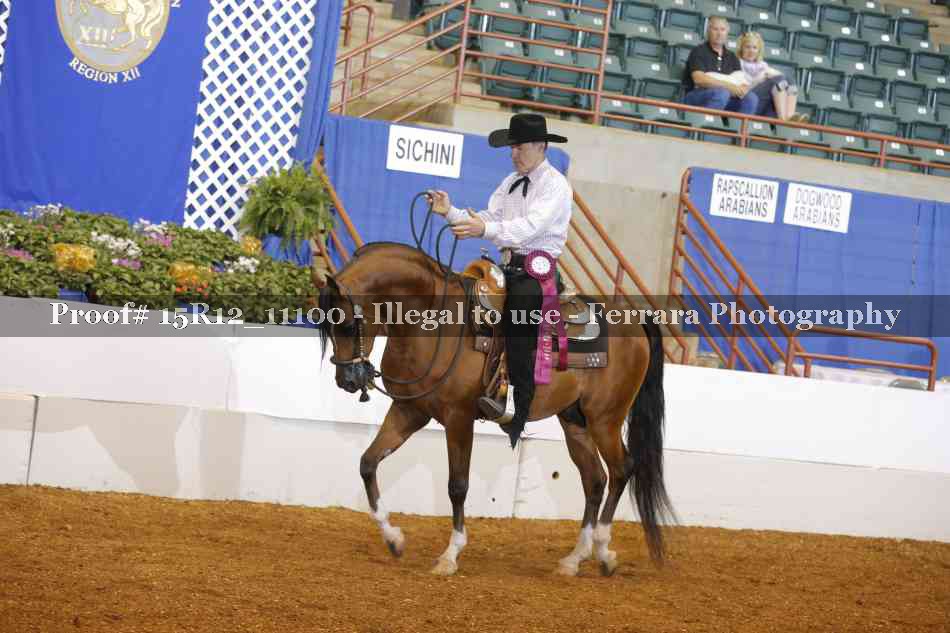 Proof Number 15R12_11100