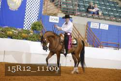 15R12_11100 thumbnail
