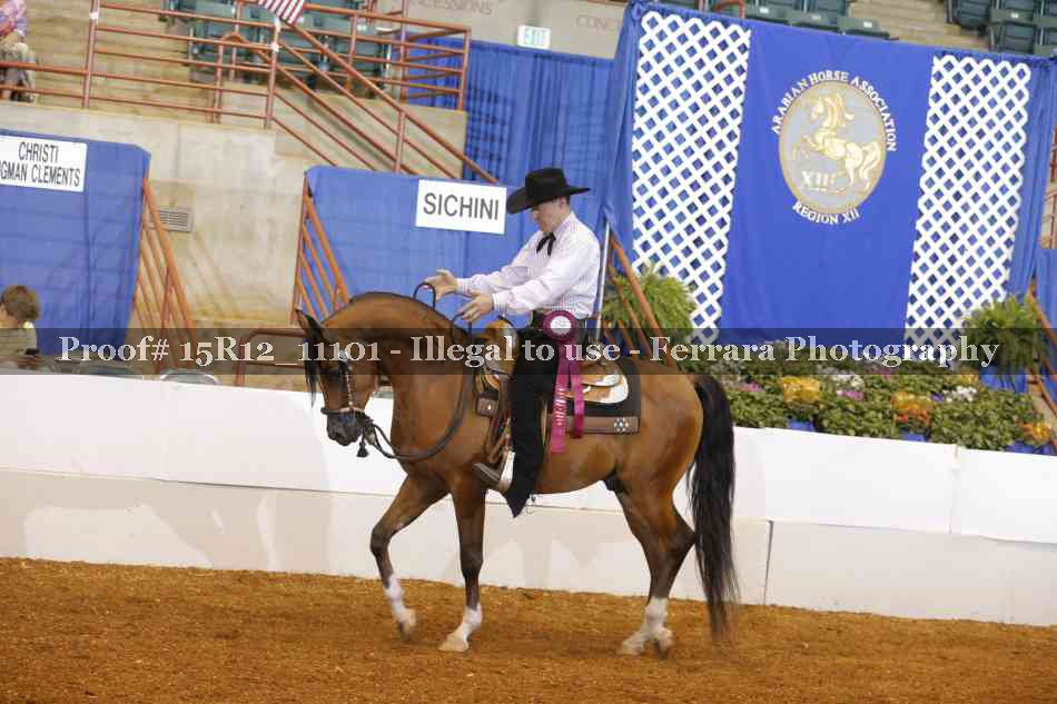 Proof Number 15R12_11101