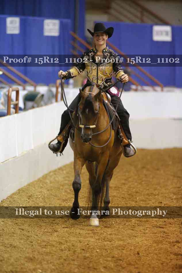 Proof Number 15R12_11102