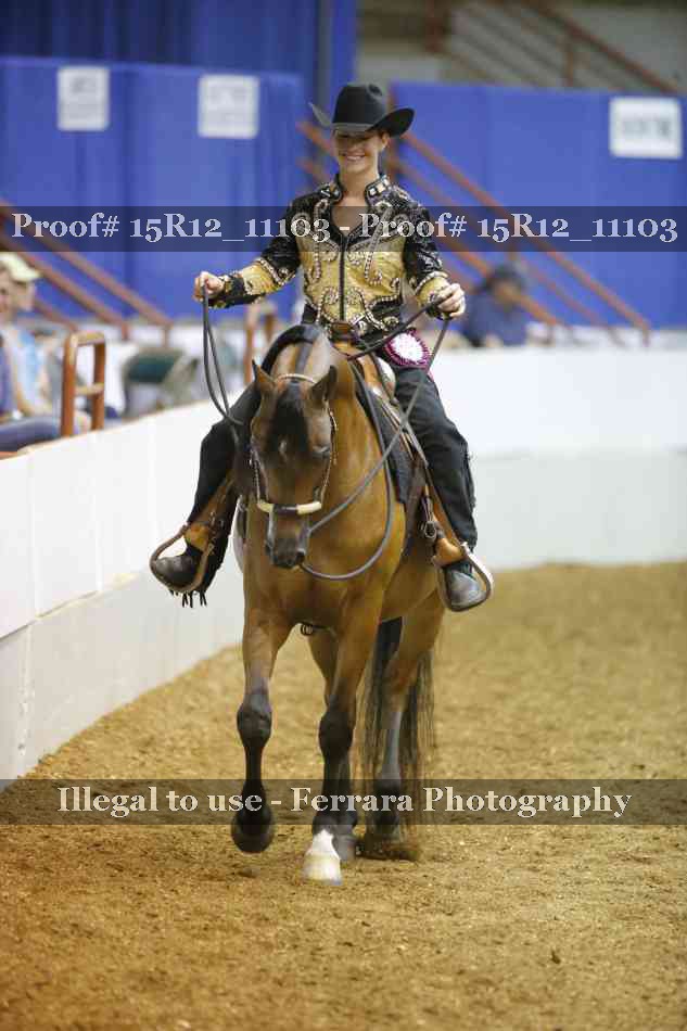 Proof Number 15R12_11103