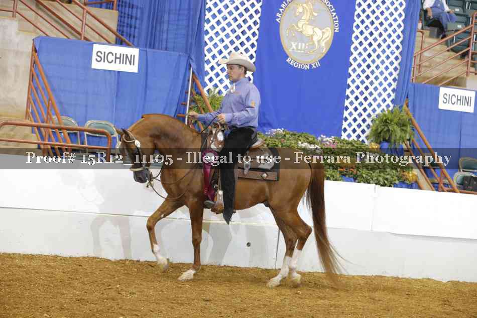Proof Number 15R12_11105