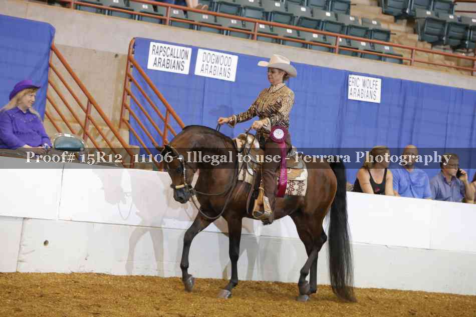 Proof Number 15R12_11106