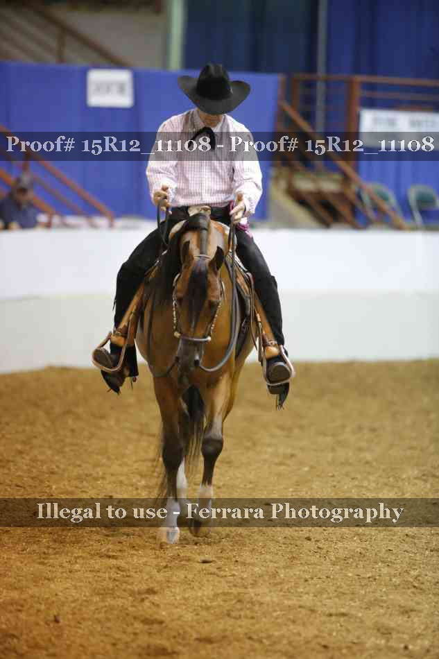 Proof Number 15R12_11108