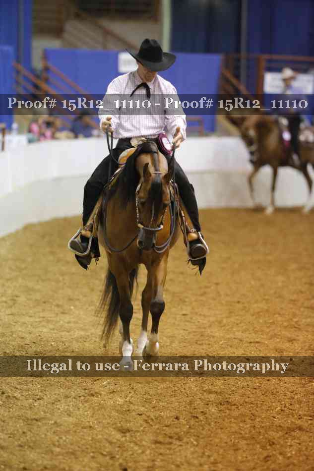 Proof Number 15R12_11110