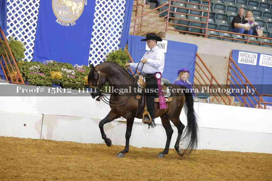 Proof Number 15R12_11111