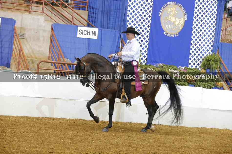 Proof Number 15R12_11112