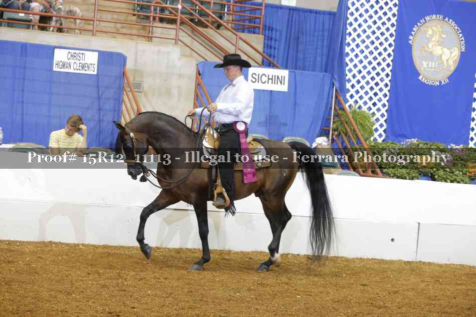 Proof Number 15R12_11113