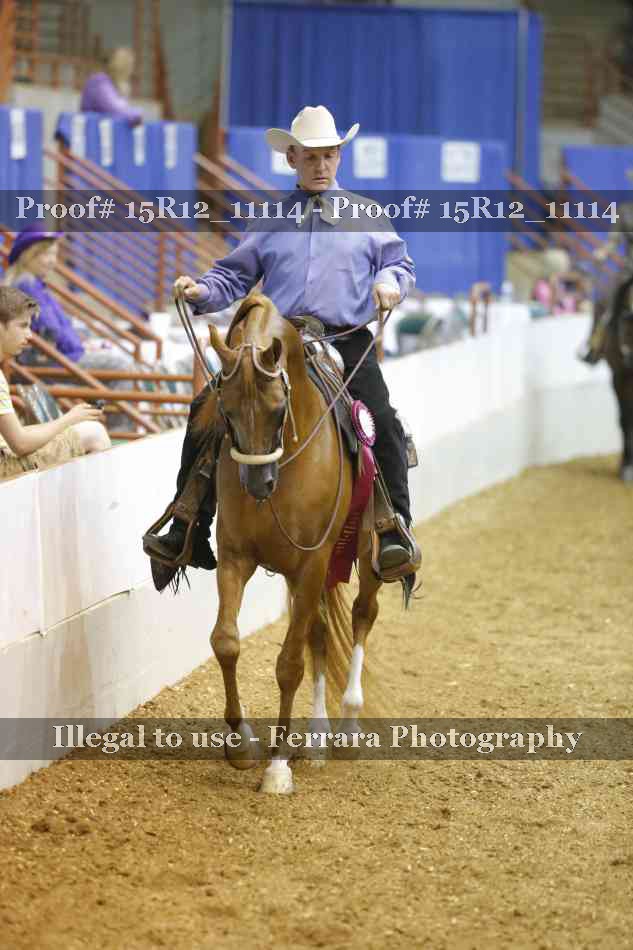 Proof Number 15R12_11114