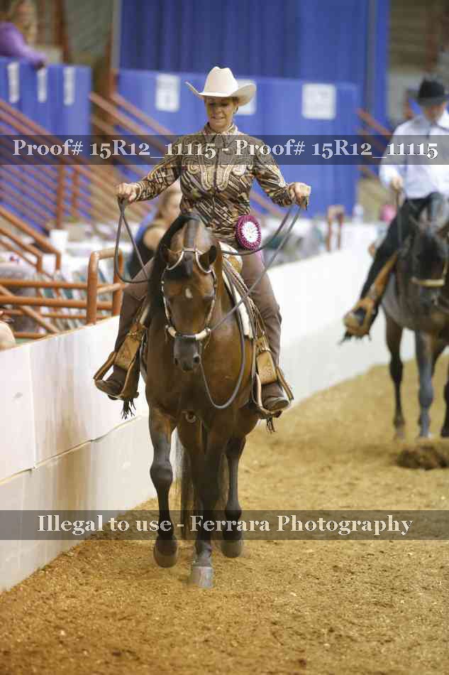 Proof Number 15R12_11115