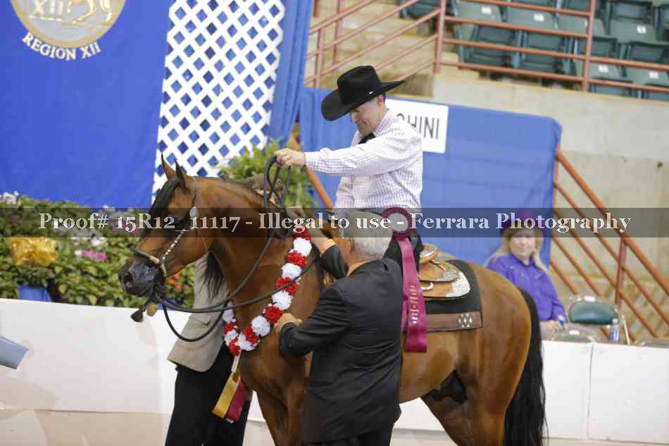Proof Number 15R12_11117