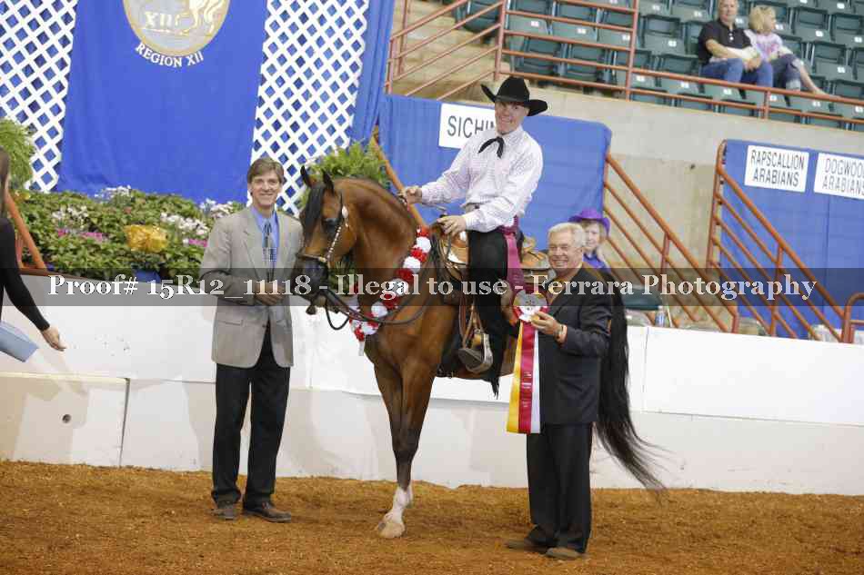Proof Number 15R12_11118