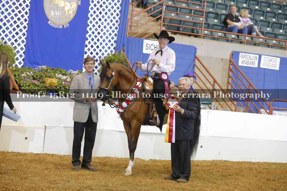 Proof Number 15R12_11119