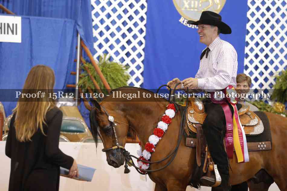 Proof Number 15R12_11120