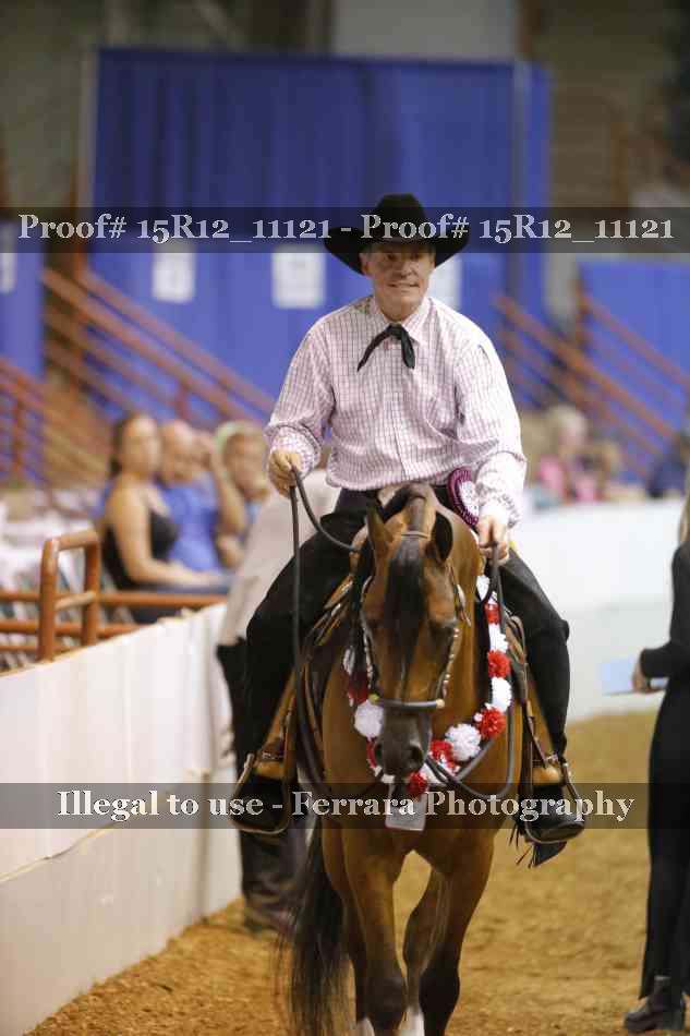 Proof Number 15R12_11121