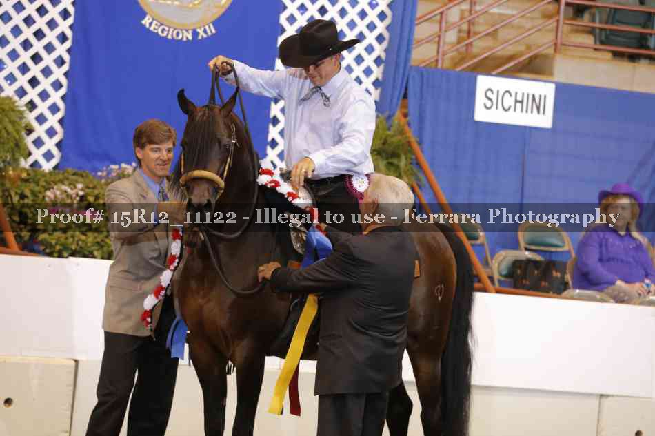 Proof Number 15R12_11122