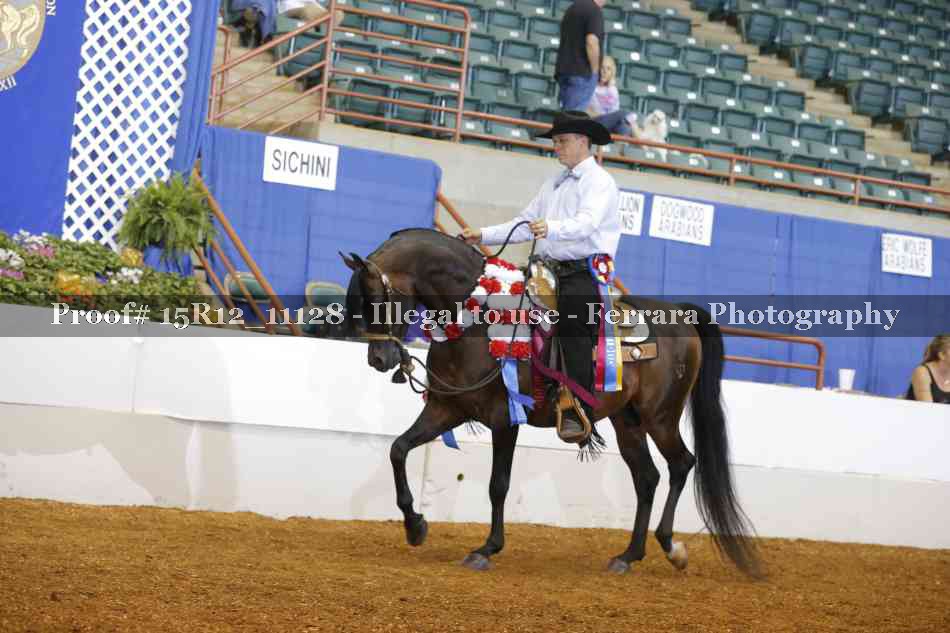 Proof Number 15R12_11128