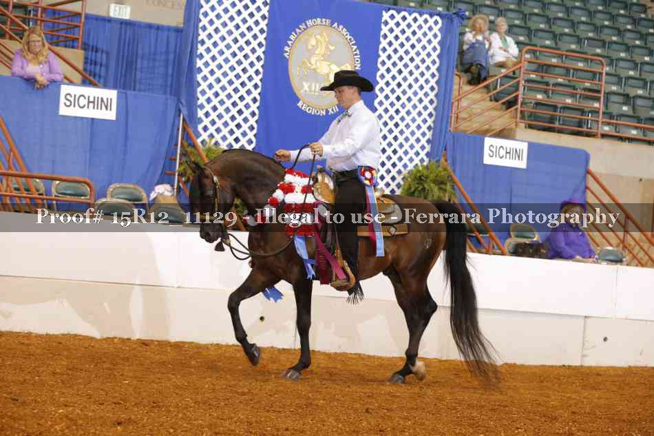 Proof Number 15R12_11129