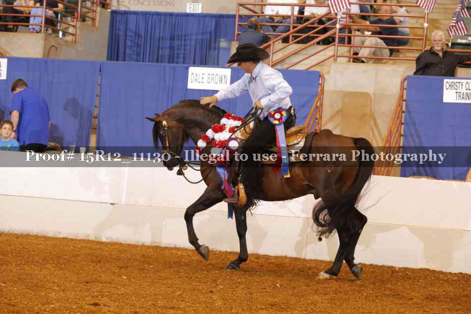 Proof Number 15R12_11130