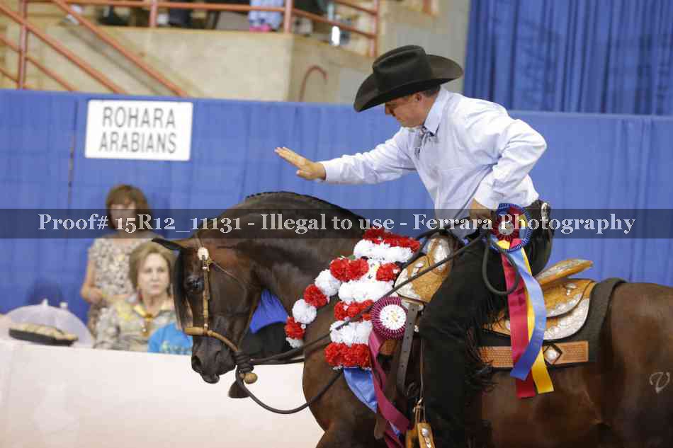 Proof Number 15R12_11131