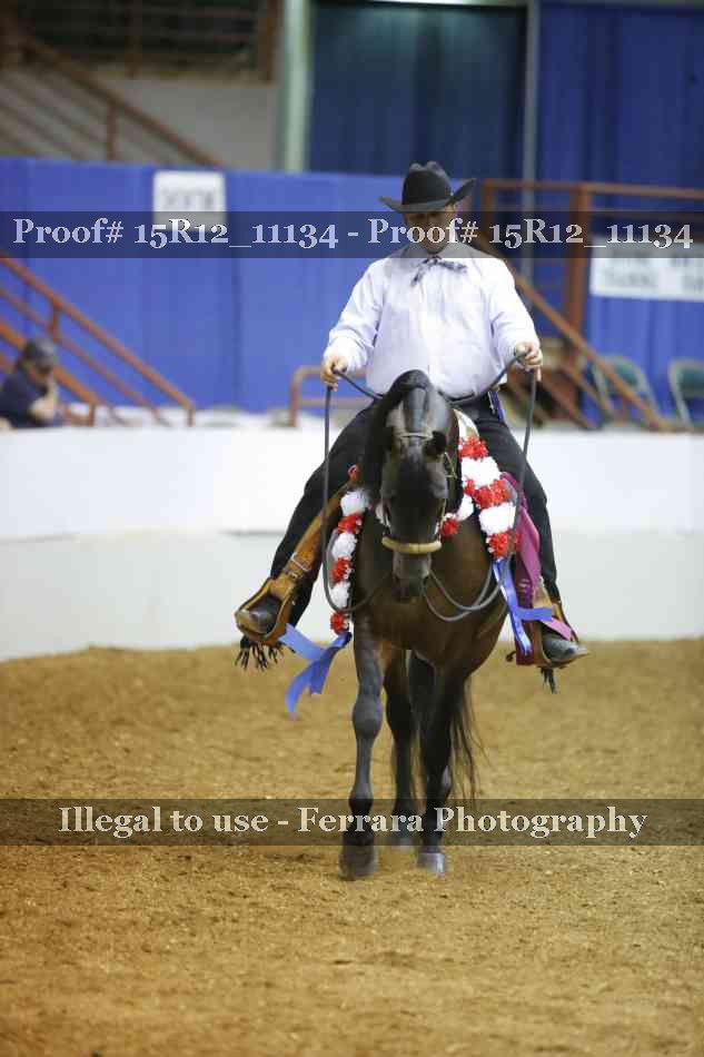 Proof Number 15R12_11134