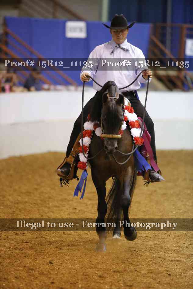 Proof Number 15R12_11135