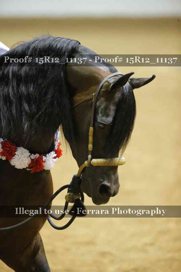 Proof Number 15R12_11137