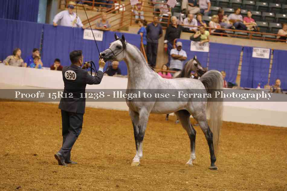 Proof Number 15R12_11238