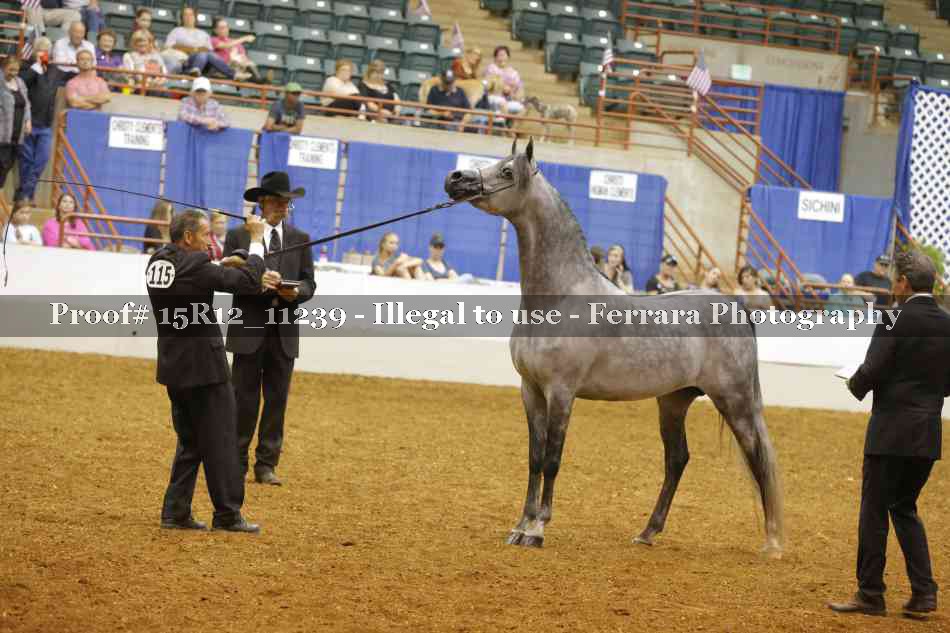 Proof Number 15R12_11239