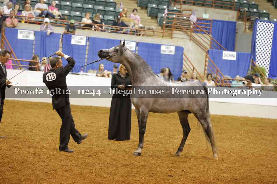 Proof Number 15R12_11244