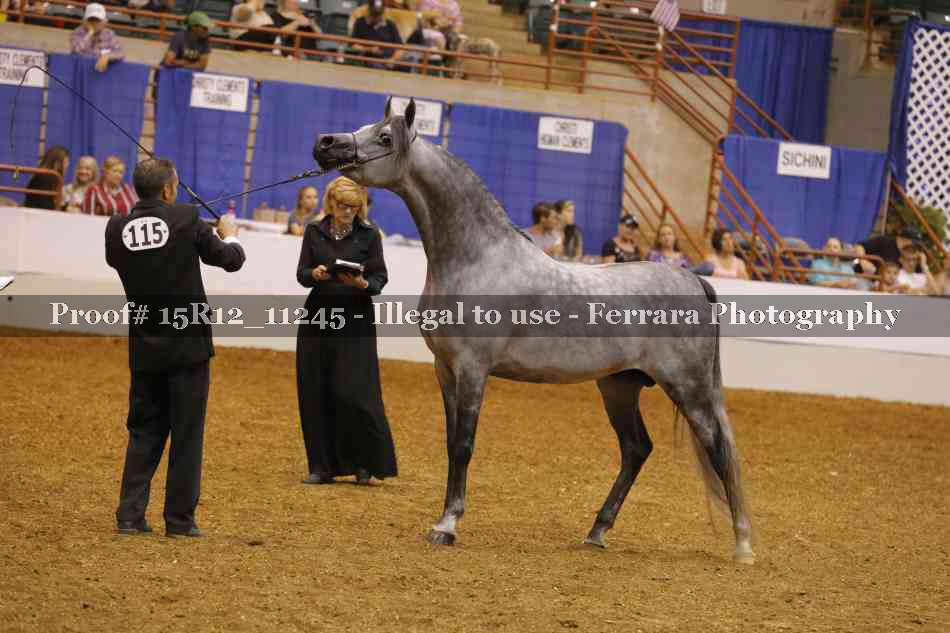 Proof Number 15R12_11245