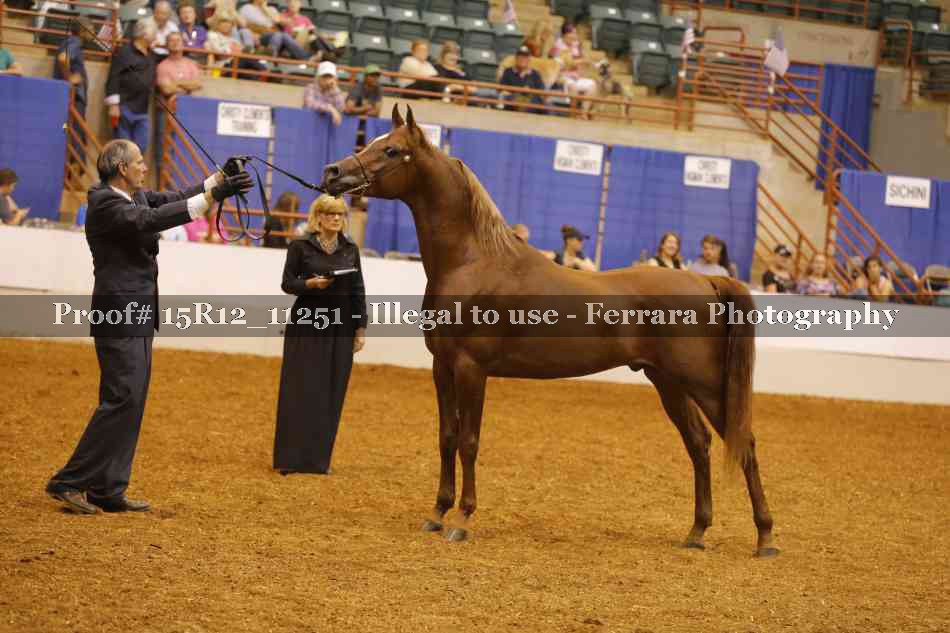 Proof Number 15R12_11251