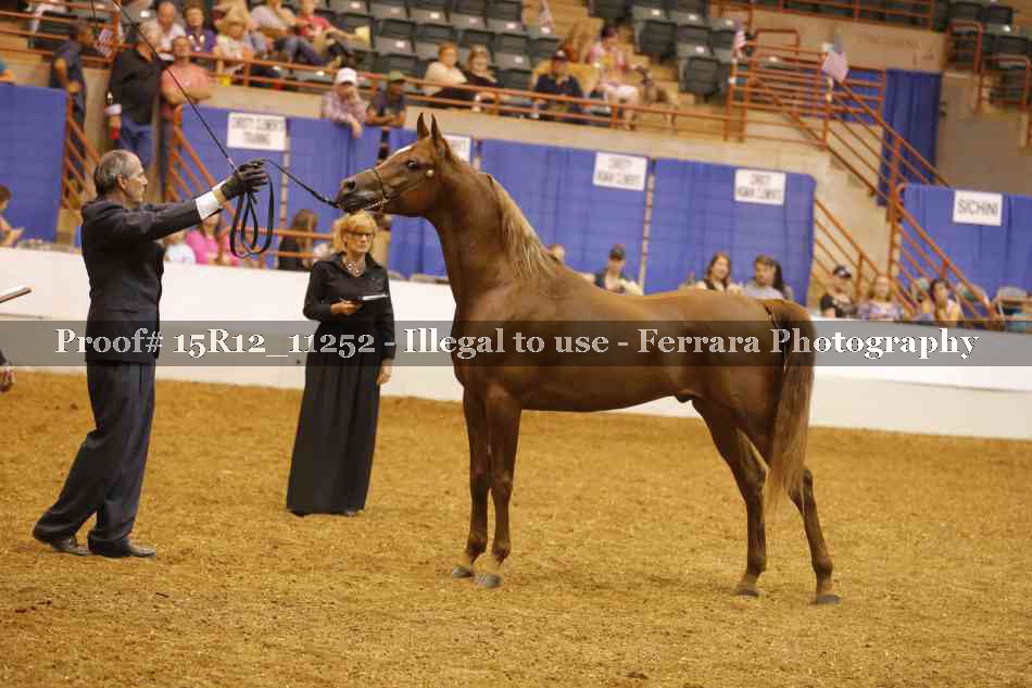 Proof Number 15R12_11252