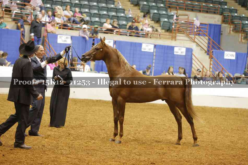Proof Number 15R12_11253