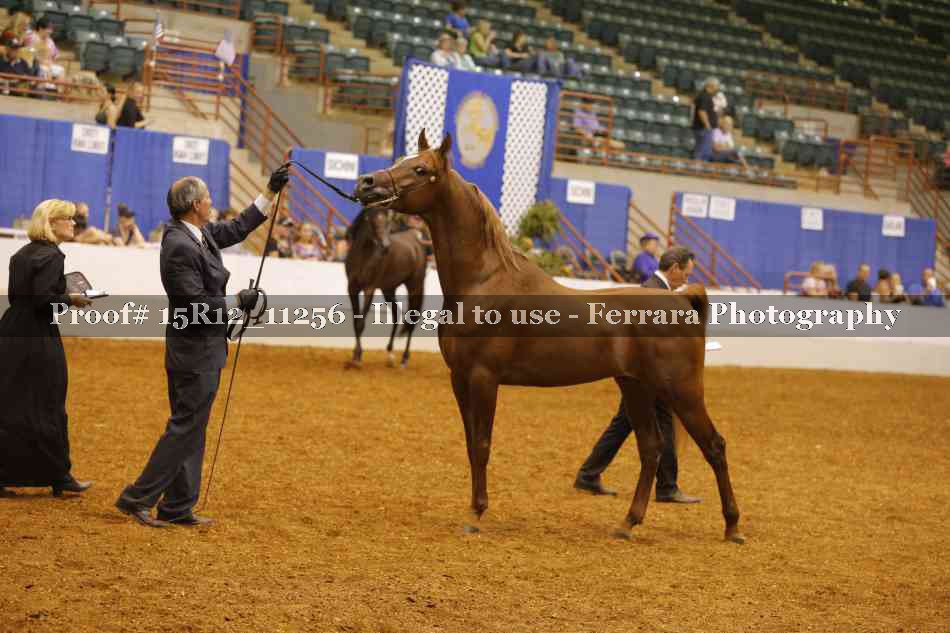 Proof Number 15R12_11256