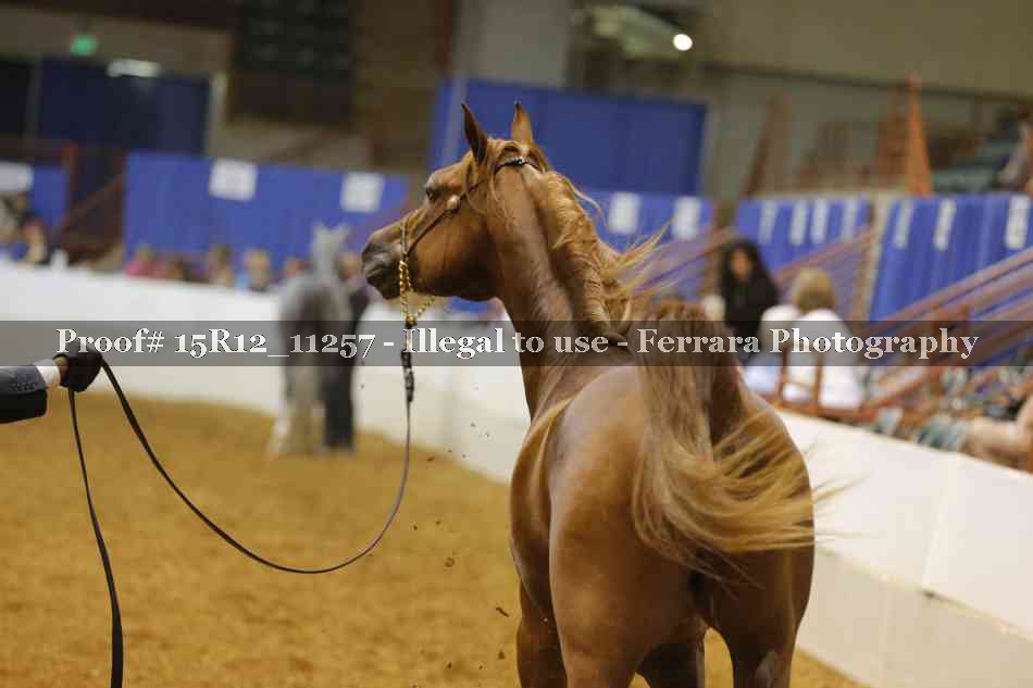Proof Number 15R12_11257