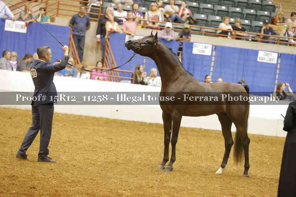 Proof Number 15R12_11258