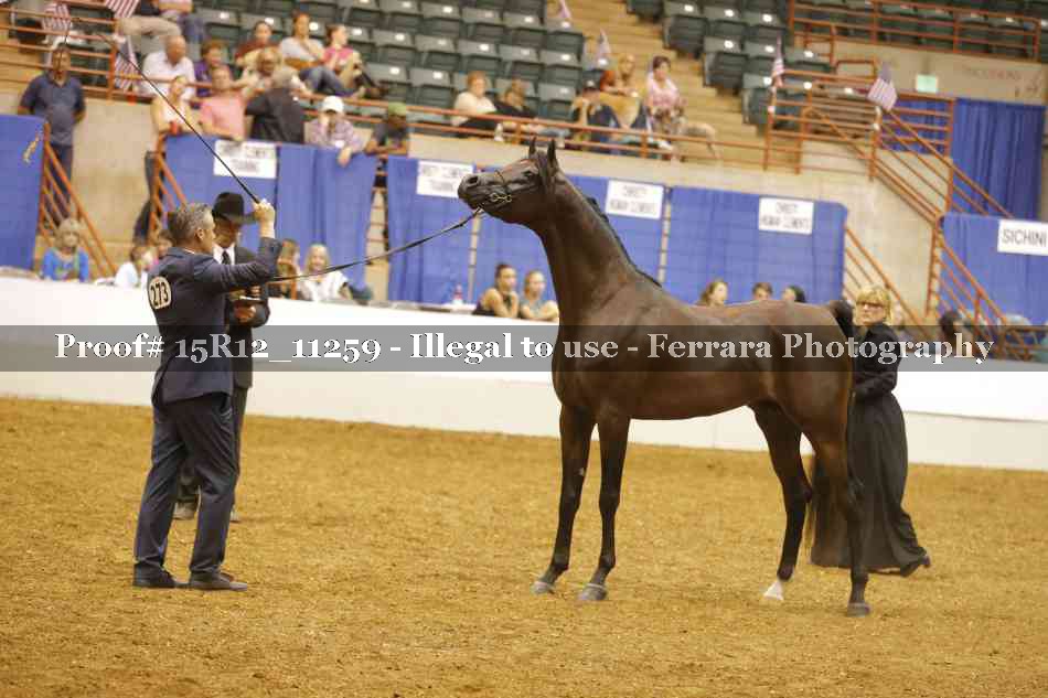 Proof Number 15R12_11259
