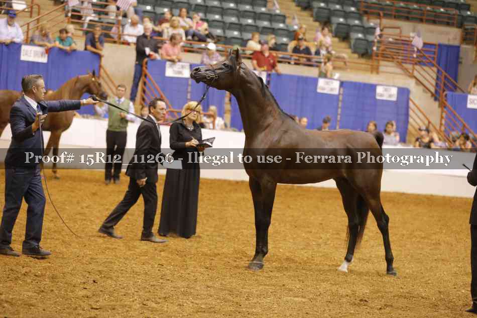 Proof Number 15R12_11266