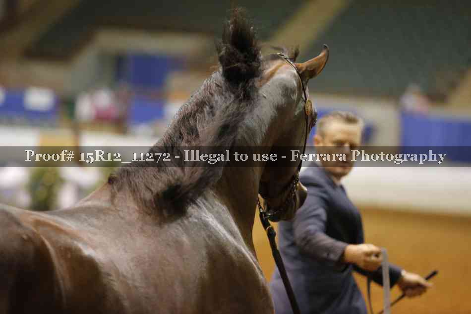 Proof Number 15R12_11272
