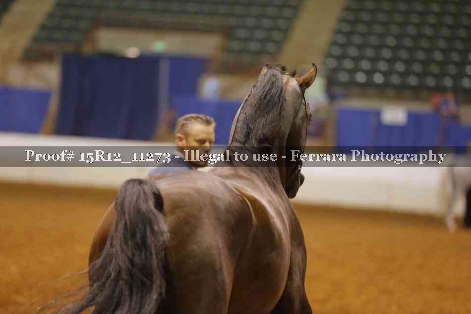 Proof Number 15R12_11273