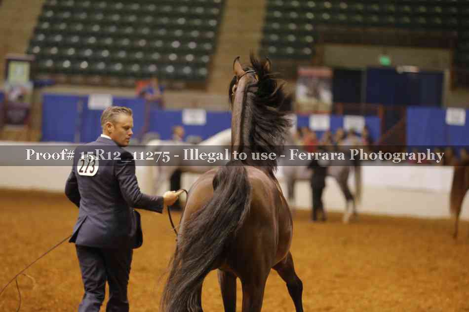 Proof Number 15R12_11275