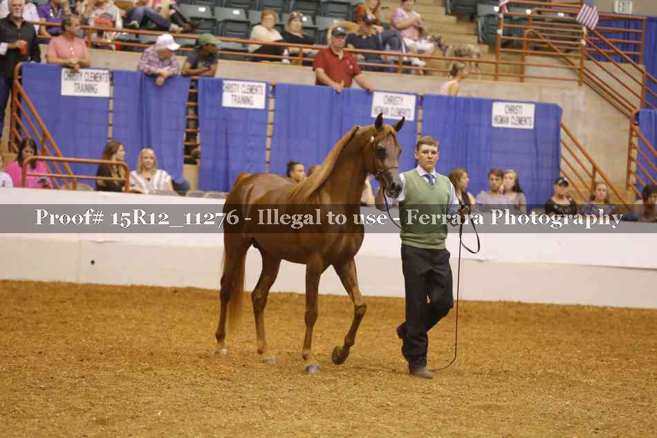 Proof Number 15R12_11276
