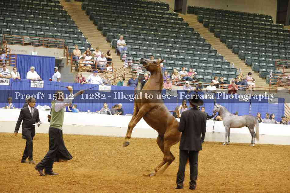 Proof Number 15R12_11282
