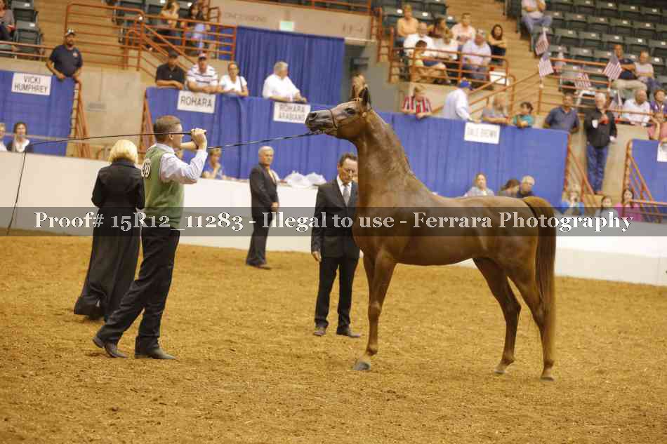 Proof Number 15R12_11283