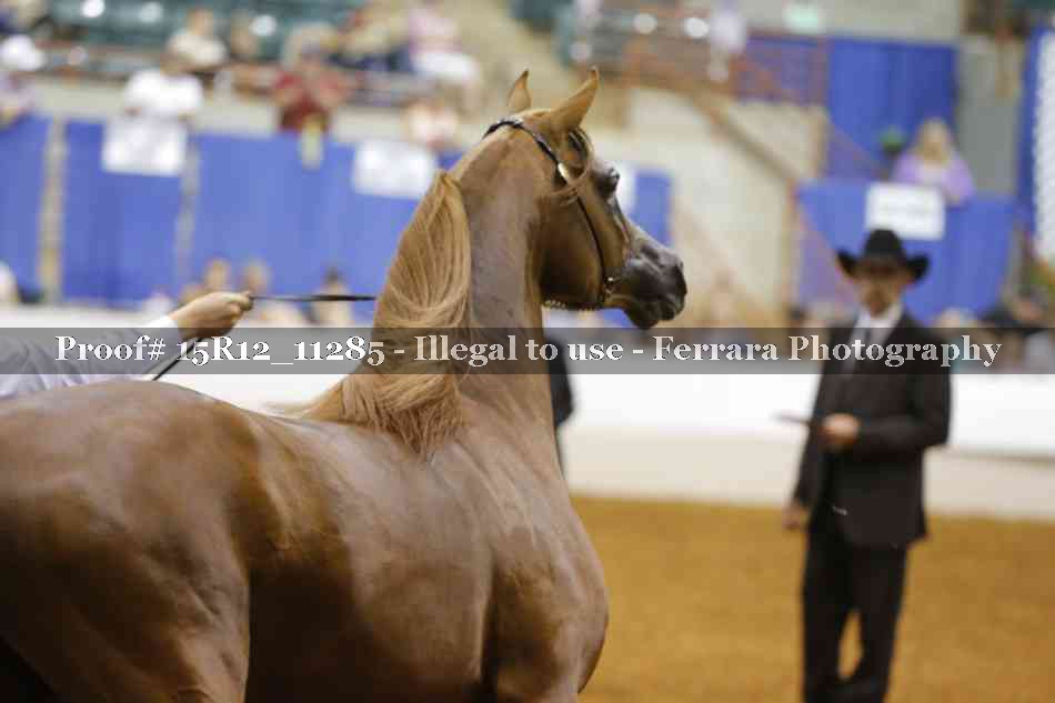 Proof Number 15R12_11285